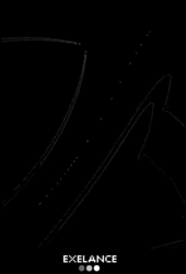 ExELaNCE